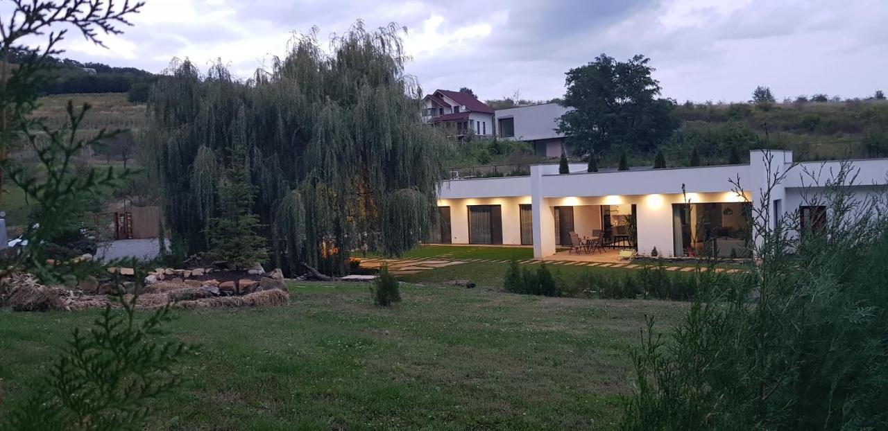 Апартаменти La Salcia Din Padure Алба-Юлія Екстер'єр фото